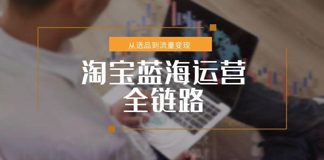 淘宝蓝海运营全链路，从选品到流量变现，小类目突围完整方案-彼飞网创