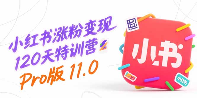 小红书涨粉变现120天特训营Pro版11.0：从0到1掌握平台运营,内容制作和变现-彼飞网创
