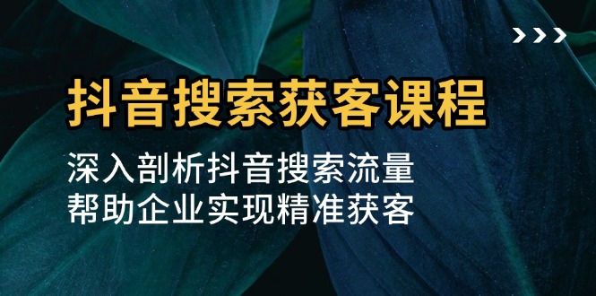 抖音搜索获客课程：深入剖析抖音搜索流量，帮助企业实现精准获客-彼飞网创