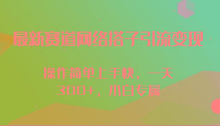 最新赛道网络搭子引流变现!!操作简单上手快，一天300+，小白专属-彼飞网创