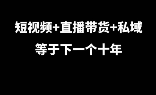短视频+直播带货+私域等于下一个十年，大佬7年实战经验总结-彼飞网创