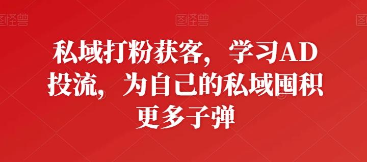 私域打粉获客，学习AD投流，为自己的私域囤积更多子弹-彼飞网创