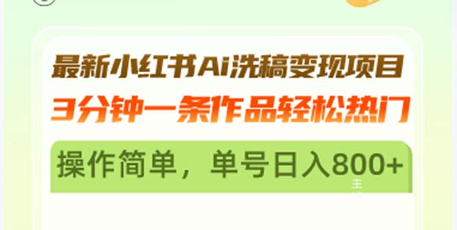 最新小红书Ai洗稿变现项目 3分钟一条作品轻松热门 操作简单，单号日入800+-彼飞网创