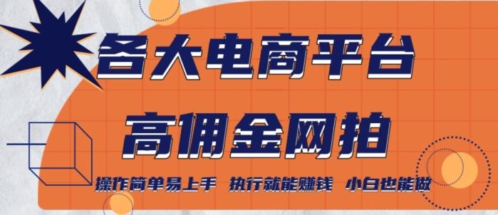 各大电商平台高佣金网拍，操作简单易上手，执行就能赚钱，小白也能做-彼飞网创