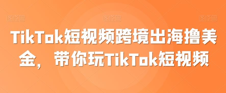 TikTok短视频跨境出海撸美金，带你玩TikTok短视频-彼飞网创
