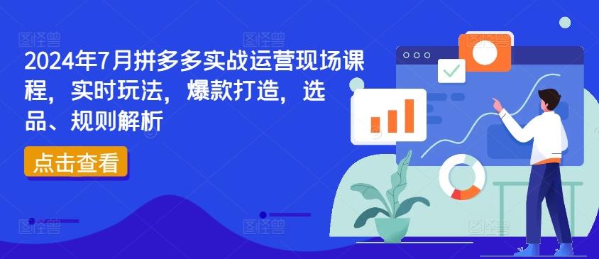 2024年7月拼多多实战运营现场课程，实时玩法，爆款打造，选品、规则解析-彼飞网创