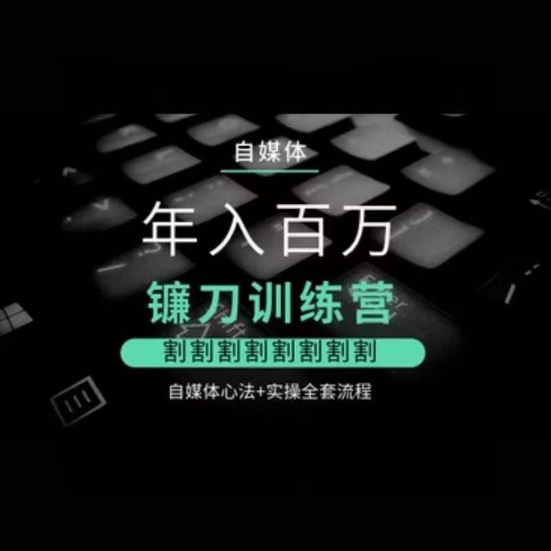 自媒体年入百万镰刀训练营，割割割割割割割割，自媒体心法+实操全套流程-彼飞网创