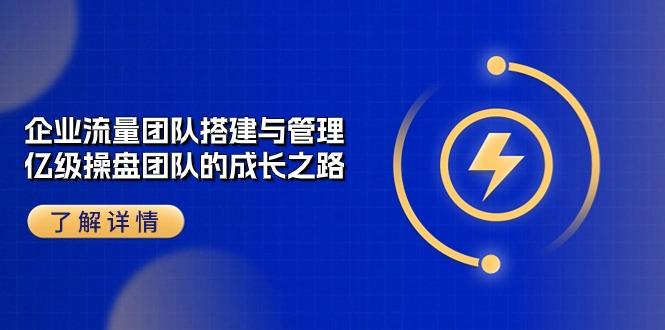 企业 流量团队-搭建与管理，亿级 操盘团队的成长之路(28节课-彼飞网创