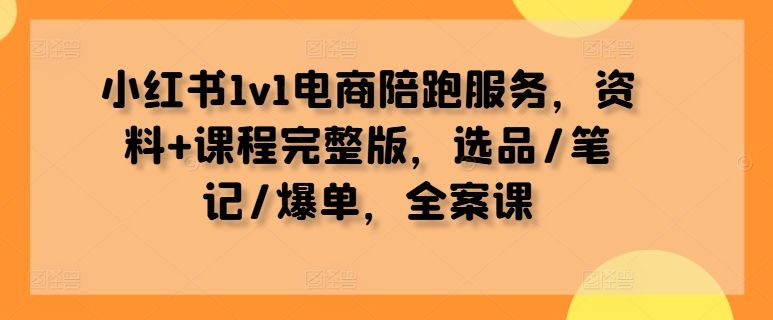 小红书1v1电商陪跑服务，资料+课程完整版，选品/笔记/爆单，全案课-彼飞网创