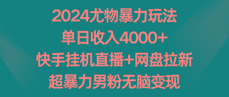 2024尤物暴力玩法 单日收入4000+快手挂机直播+网盘拉新 超暴力男粉无脑变现-彼飞网创