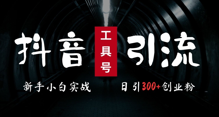 2024最新抖音工具号引流玩法，高效日引300+创业粉，当天变现5k，小白也可成为实战高手-彼飞网创