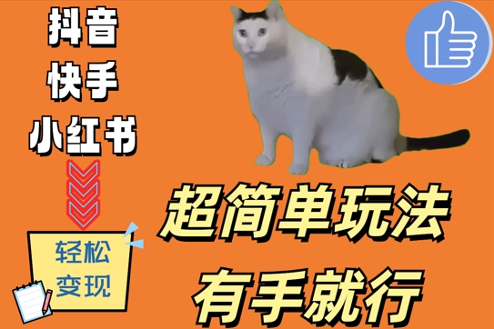 超简单玩法，有手就行，靠猫咪视频日入500+【揭秘】-彼飞网创