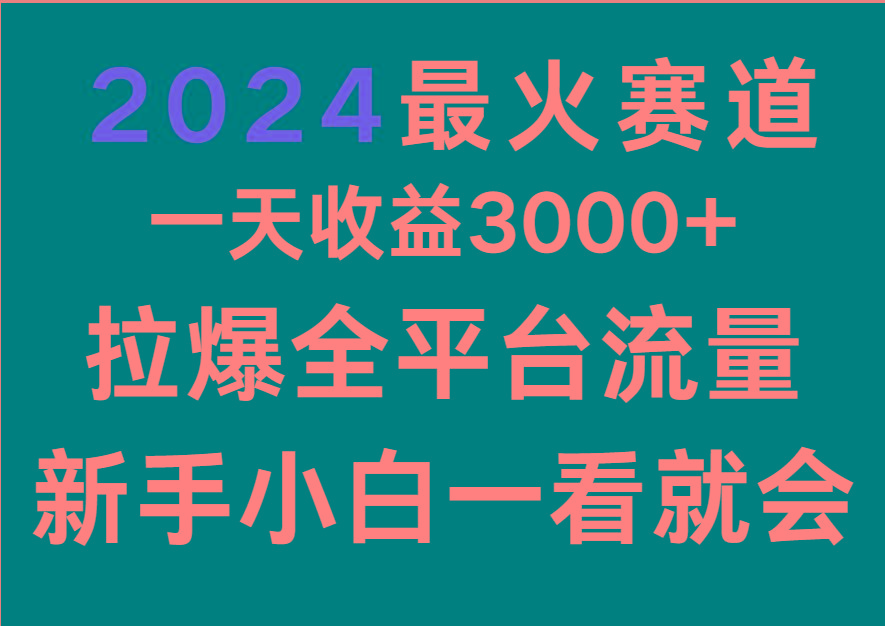 2024最火赛道，一天收一3000+.拉爆全平台流量，新手小白一看就会-彼飞网创