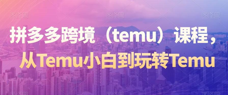 拼多多跨境（temu）课程，从Temu小白到玩转Temu-彼飞网创