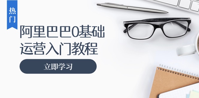阿里巴巴运营零基础入门教程：涵盖开店、运营、推广，快速成为电商高手-彼飞网创