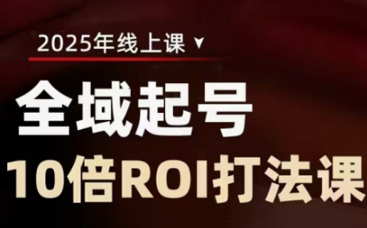 2025全域起号10倍ROI打法课，助你提升直播间的投资回报率-彼飞网创