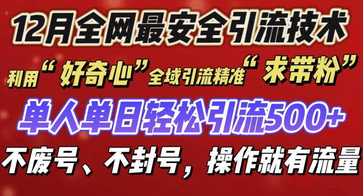 12 月份全网最安全引流创业粉技术来袭，不封号不废号，有操作就有流量【揭秘】-彼飞网创