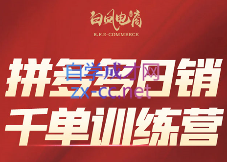 白凤电商·拼多多日销千单训练营(更新5月)-彼飞网创