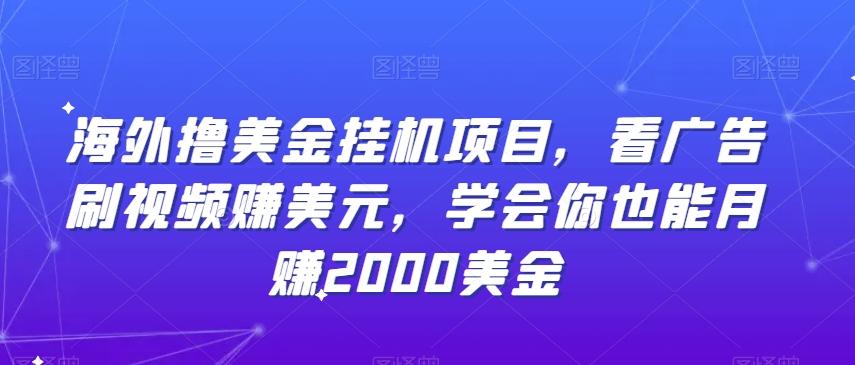 海外撸美金挂机项目，看广告刷视频赚美元，学会你也能月赚2000美金-彼飞网创