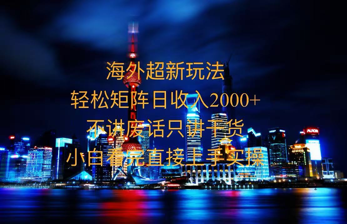 2025全新海外暴力玩法，操作简单，小白轻松上手-彼飞网创