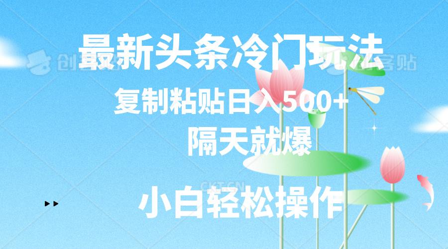 最新头条冷门玩法，隔天就爆，复制粘贴日入500+-彼飞网创