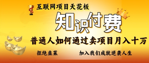 互联网项目天花板，知付付费项目，普通人如何通过卖项目月入十个，拒绝韭菜【揭秘】-彼飞网创