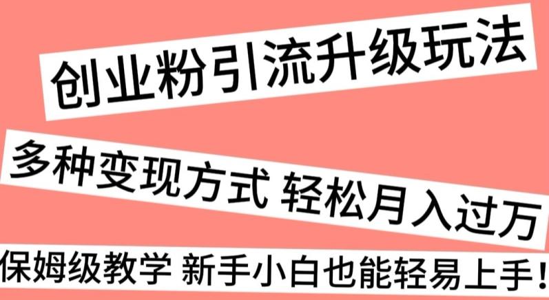 创业粉引流升级玩法，多种变现方式轻松月入过万，保姆级教学新手小白也能轻易上手！-彼飞网创