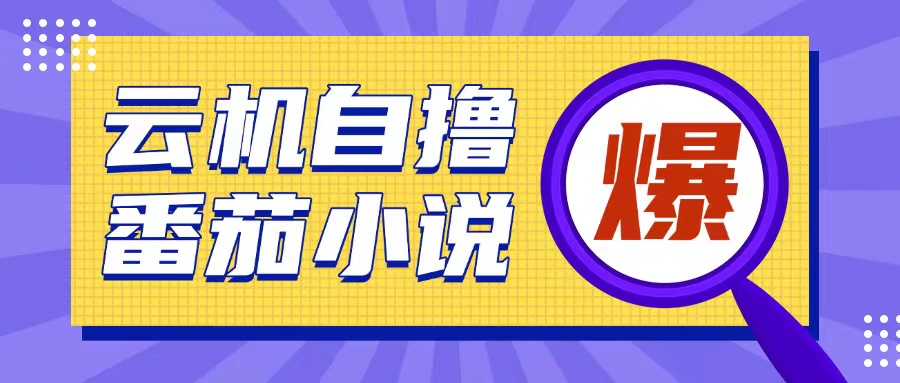 首发云手机自撸小说玩法，10块钱成本可撸200+收益操作简单【揭秘】-彼飞网创