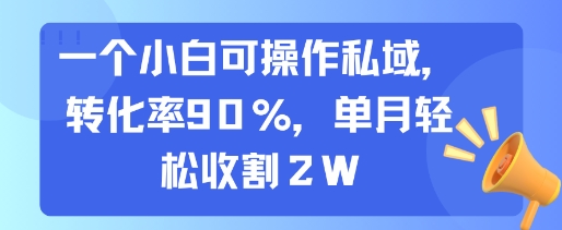 一个小白可操作私域，转化率90%，单月轻松收割2W-彼飞网创