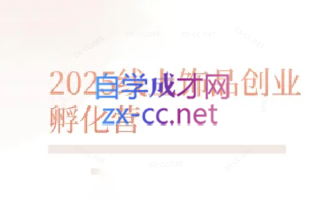 舒老师·珠宝创业实战指南-彼飞网创