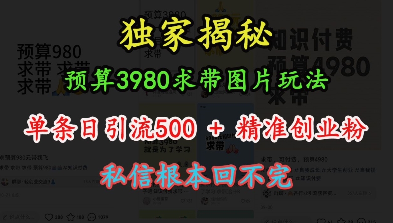 预算3980求带 图片玩法，单条日引流500+精准创业粉，私信根本回不完-彼飞网创
