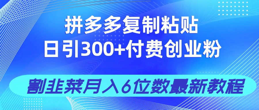 拼多多复制粘贴日引300+付费创业粉，割韭菜月入6位数最新教程！-彼飞网创