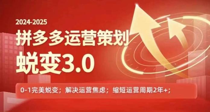 2024-2025拼多多运营策略蜕变3.0，0~1完美蜕变，解决信息焦虑-彼飞网创