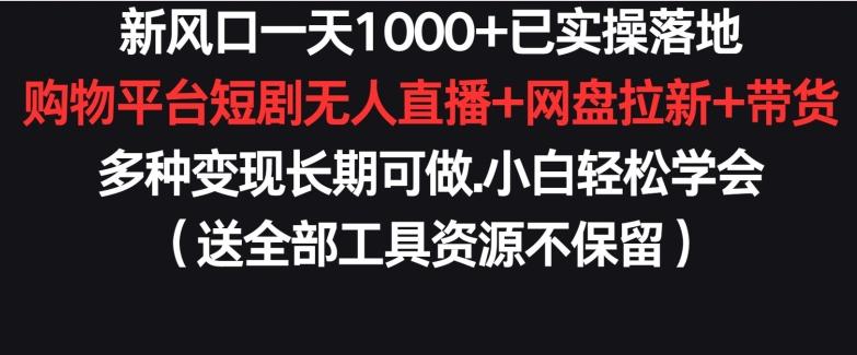 新风口一天1000+已实操落地购物平台短剧无人直播+网盘拉新+带货多种变现长期可做【揭秘】-彼飞网创