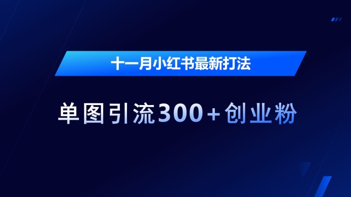 十一月小红书最新打法，单图引流300+创业粉【揭秘】-彼飞网创