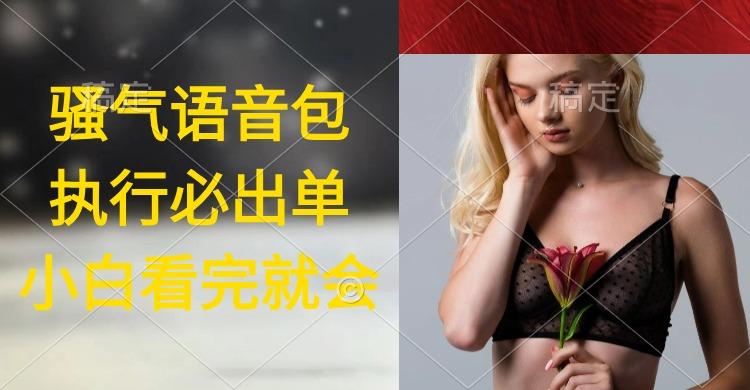 (9589期)执行就出单，日入2000+，超火骚气语音包，小白看完课程就能马上实操-彼飞网创