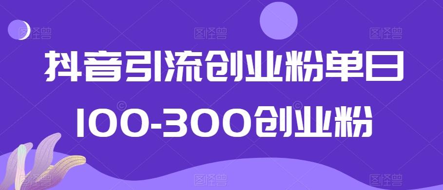抖音引流创业粉单日100-300创业粉【揭秘】-彼飞网创