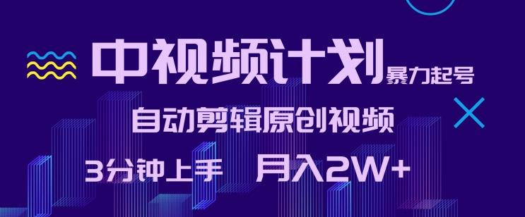 中视频计划暴力起号，自动剪辑原创视频，3分钟上手，月入2W+【揭秘】-彼飞网创