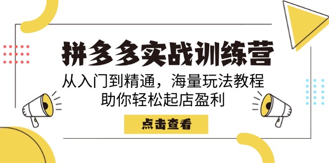 拼多多实战训练营，从入门到精通，海量玩法教程，助你轻松起店盈利-彼飞网创