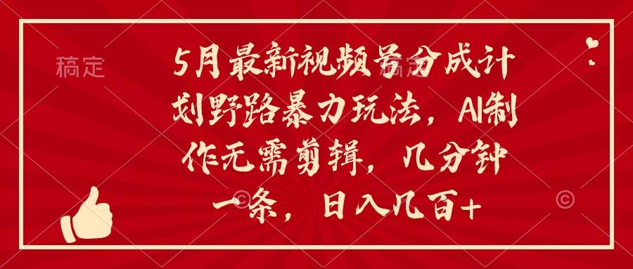 5月最新视频号分成计划野路暴力玩法，ai制作，无需剪辑。几分钟一条，…-彼飞网创