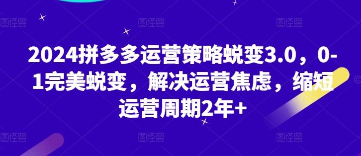 2024拼多多运营策略蜕变3.0，0-1完美蜕变，解决运营焦虑，缩短运营周期2年+-彼飞网创