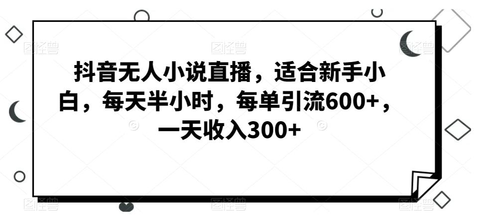 抖音无人小说直播，适合新手小白，每天半小时，每单引流600+，一天收入300+-彼飞网创