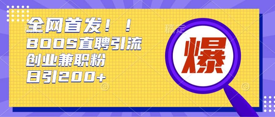 通过Boss直聘，每天轻松钓到200+多条创业大鱼的秘籍【揭秘】-彼飞网创