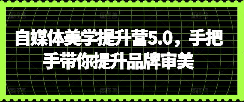 自媒体美学提升营5.0，手把手带你提升品牌审美-彼飞网创