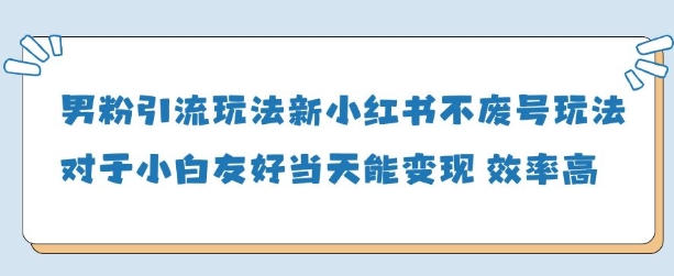 男粉引流玩法(新)，玩法友好做的好当天就能变现-彼飞网创