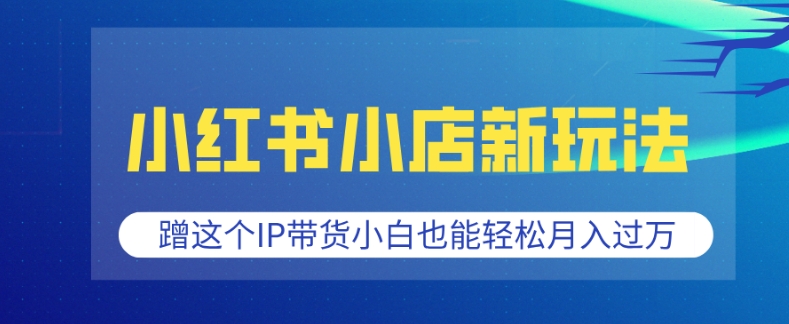 小红书小店新玩法，蹭这个IP带货，小白也能轻松月入过W【揭秘】-彼飞网创