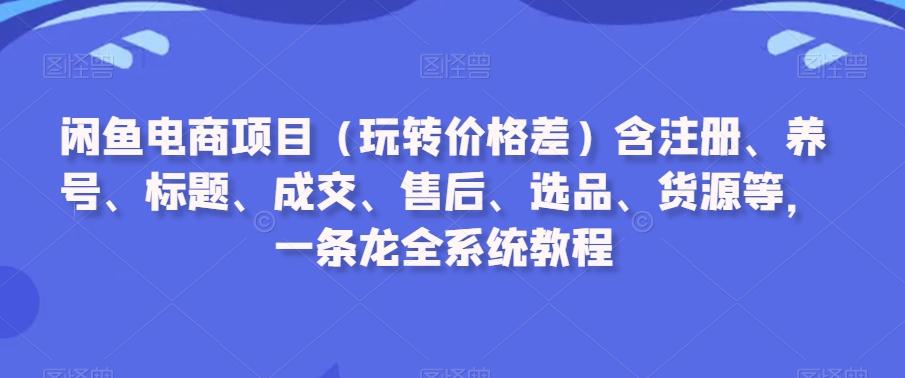 闲鱼电商项目(玩转价格差)含注册、养号、标题、成交、售后、选品、货源等，一条龙全系统教程-彼飞网创