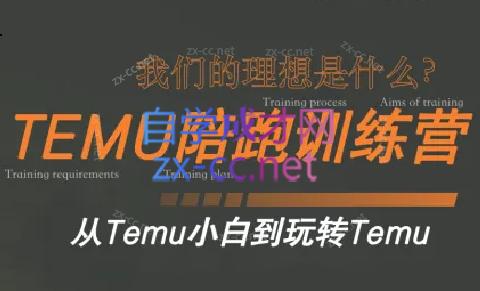 苗苗·拼多多跨境（temu）课程-彼飞网创
