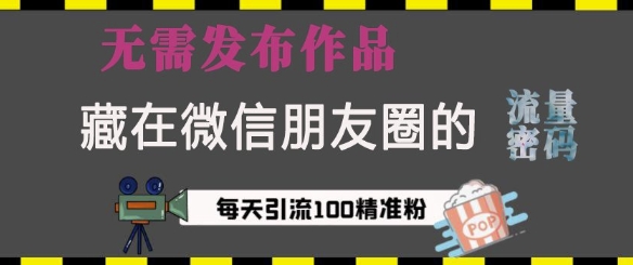 藏在微信朋友圈的流量密码，无需发布作品，单日引流100+精准创业粉【揭秘】-彼飞网创