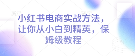 小红书电商实战方法，让你从小白到精英，保姆级教程-彼飞网创